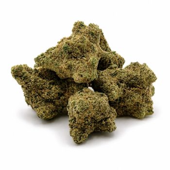 CBD květy - Orange Sherbet