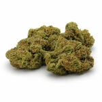 CBD Květy - Bubble Gum